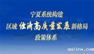 宁夏系统构建区域经济高质量发展新格局政策体系