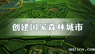 创建国家森林城市